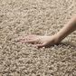 Safavieh Athens Shag SGA119G-8 8" x 10" Beige Area Rug, , large