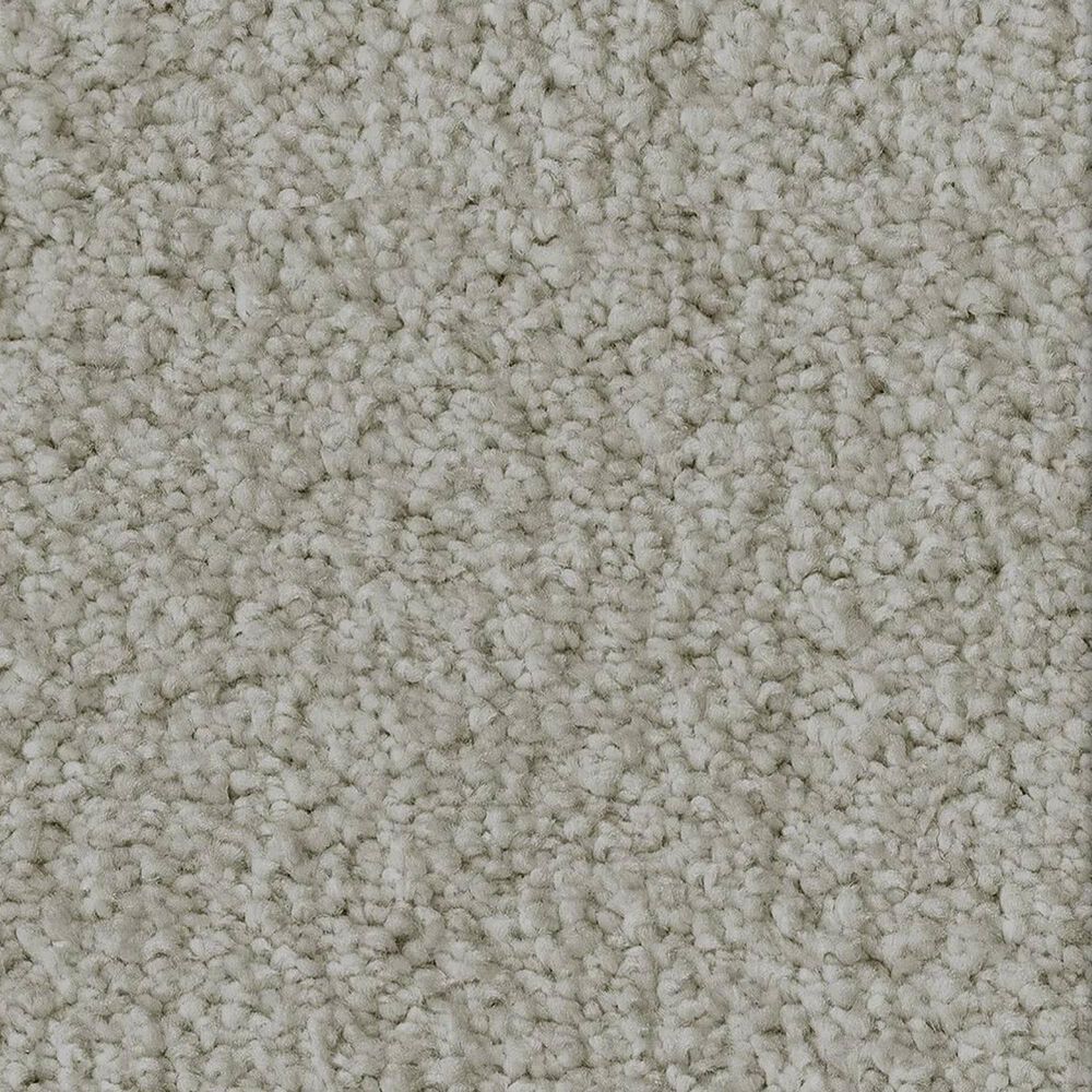 Anderson Tuftex Luxe Feel II Carpet in Lemon Grass, , large