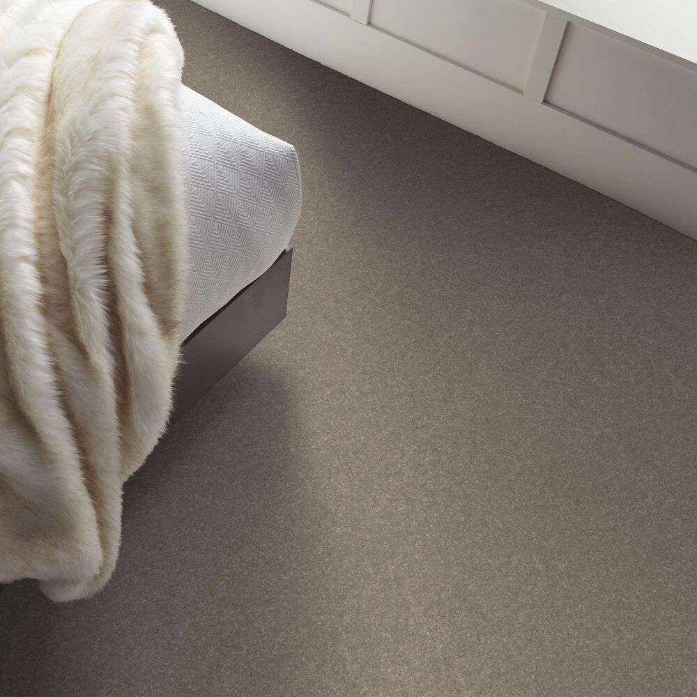 Shaw Hard At Play Iii Carpet in Chic Greige, , large