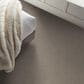 Shaw Hard At Play Iii Carpet in Chic Greige, , large