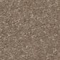 Shaw Hard At Play II Carpet in Cameo, , large