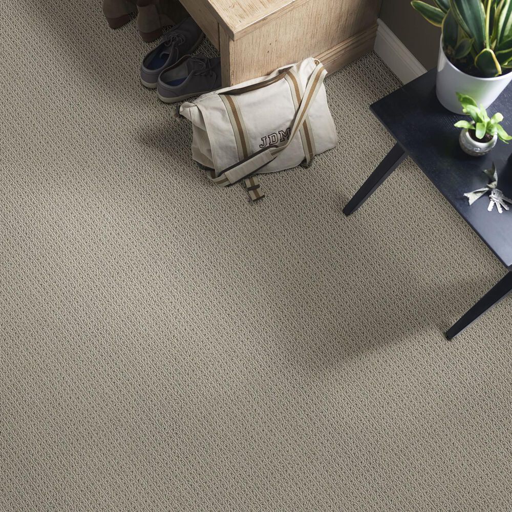 Anderson Tuftex San Lucas Carpet in Pewter, , large