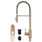 MS International AcquaLuxe Curved Pull-Down Sprayer Kitchen Sink Faucet in Gold, , large