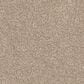 Dixie Home Bella Carpet in Shar-Pei, , large