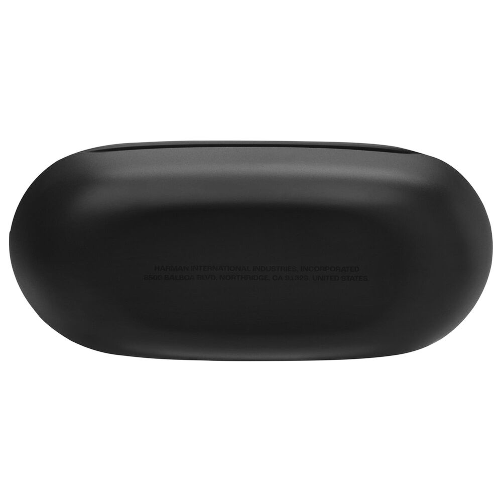 JBL Endurance Race 2 True Wireless Earbuds in Black, , large
