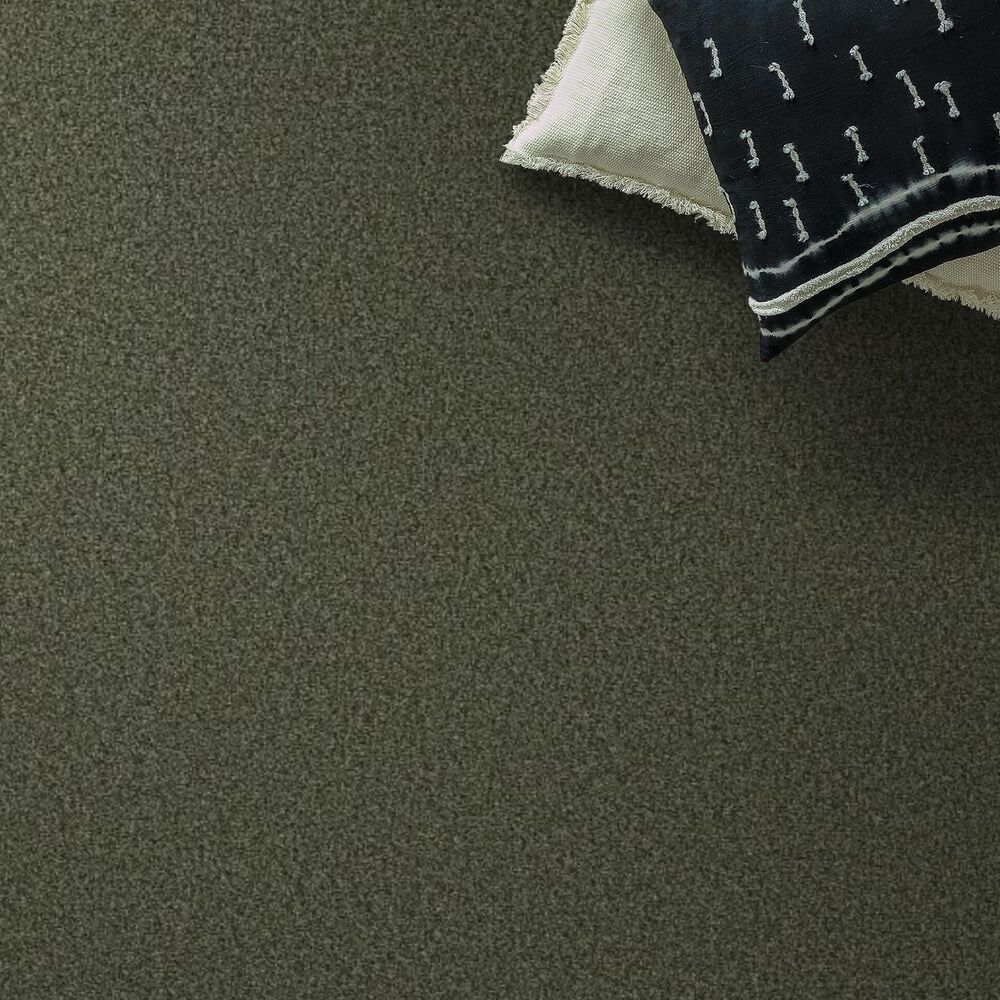 Shaw Tonal Comfort I Carpet in Olive Grove, , large