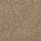 Mohawk Revive Carpet in Cross Country, , large