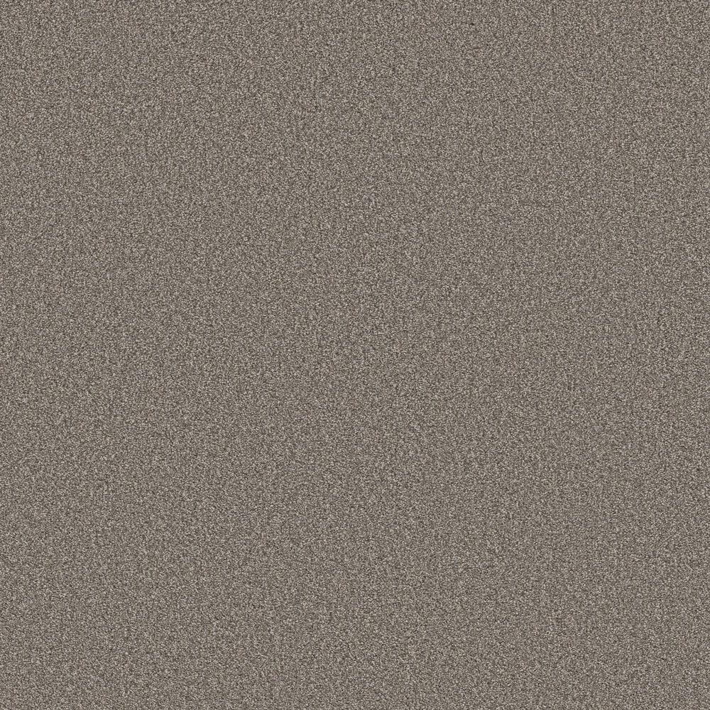 Shaw Tweed Comfort I Carpet in Marsh Grass, , large