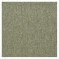 Shaw Capital III Carpet in Distinguished, , large