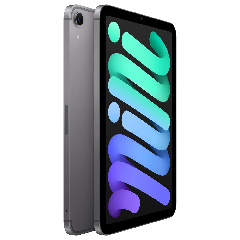 Apple iPad Mini Wi-Fi + Cellular 128GB - Space Gray with 2-Year AppleCare+, , large