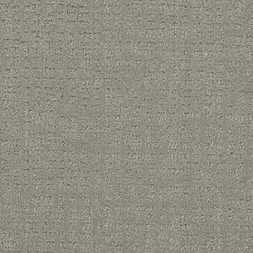 Dream Weaver Common Ground Carpet in Graystone, , large