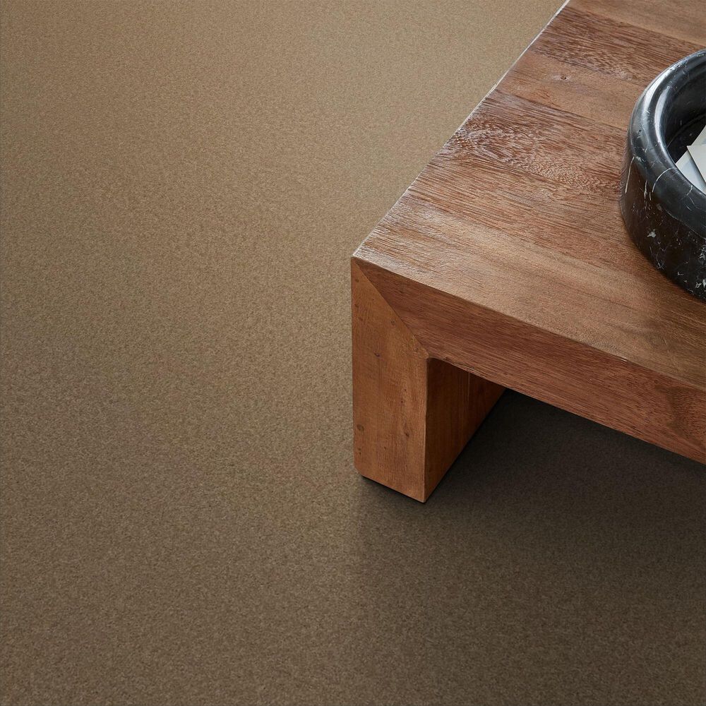 Anderson Tuftex Enchanting Carpet in Prairie, , large