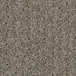 Shaw Simply Classic Carpet in Ashes, , large
