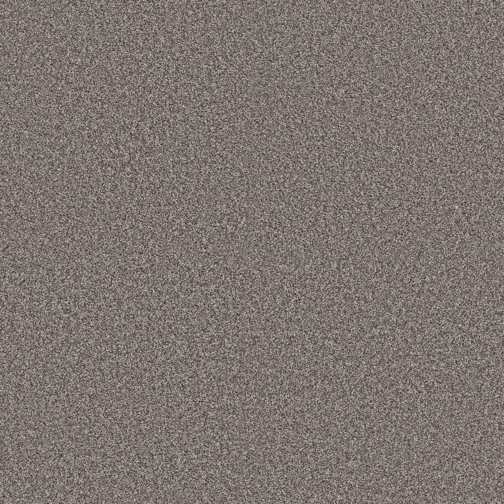 Shaw Bold Move Plus Carpet in Ashes, , large
