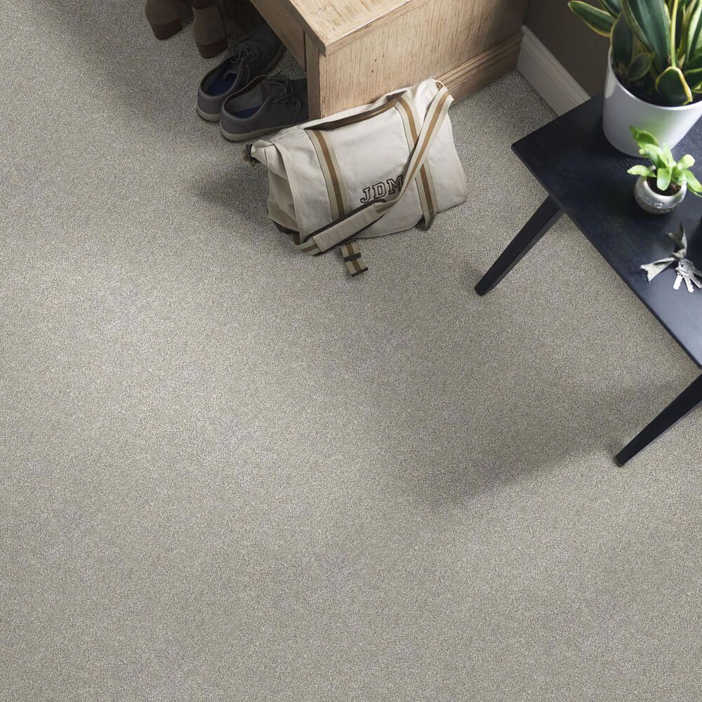 Shaw Find Your Comfort NS Blue Carpet in Back Patio, , large