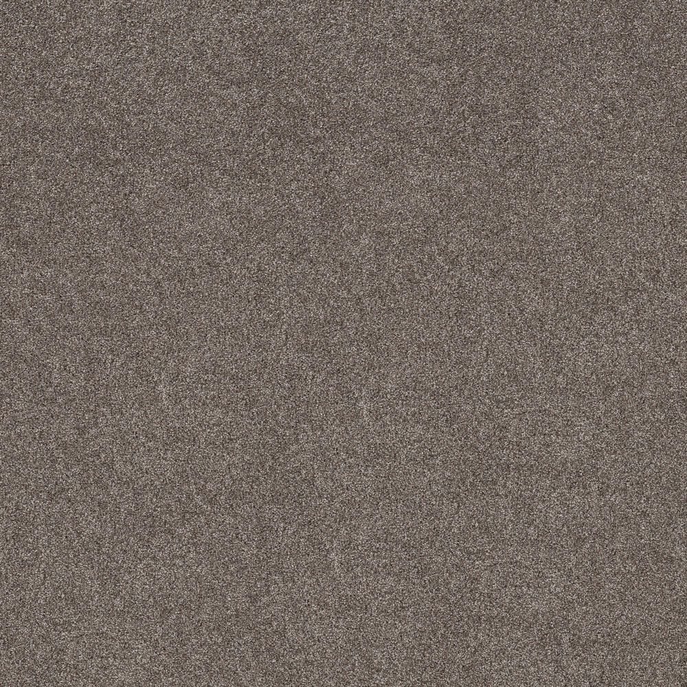 Shaw Grand Outlook Carpet in Homestead, , large