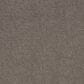 Shaw Grand Outlook Carpet in Homestead, , large