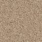 Anderson Tuftex Elegant Beauty Carpet in Brulee, , large
