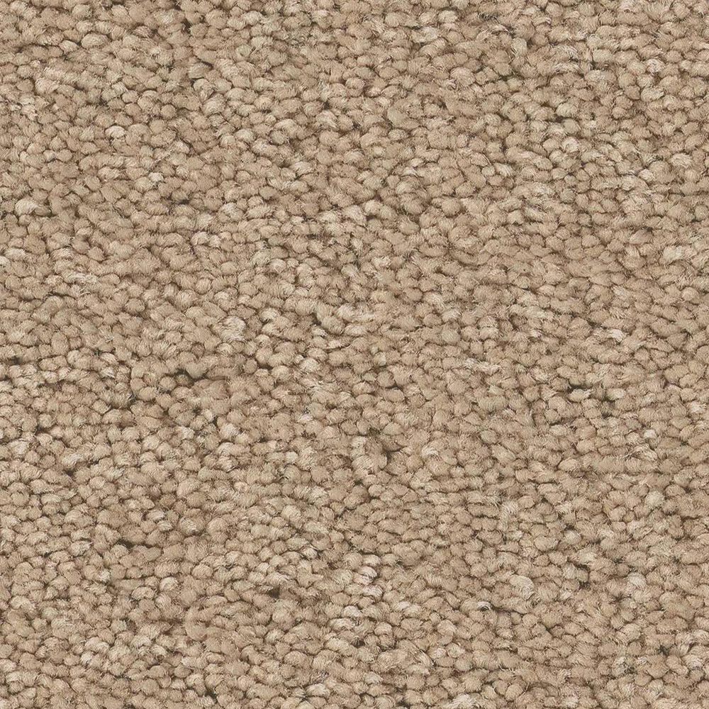 Anderson Tuftex Elegant Beauty Carpet in Brulee, , large