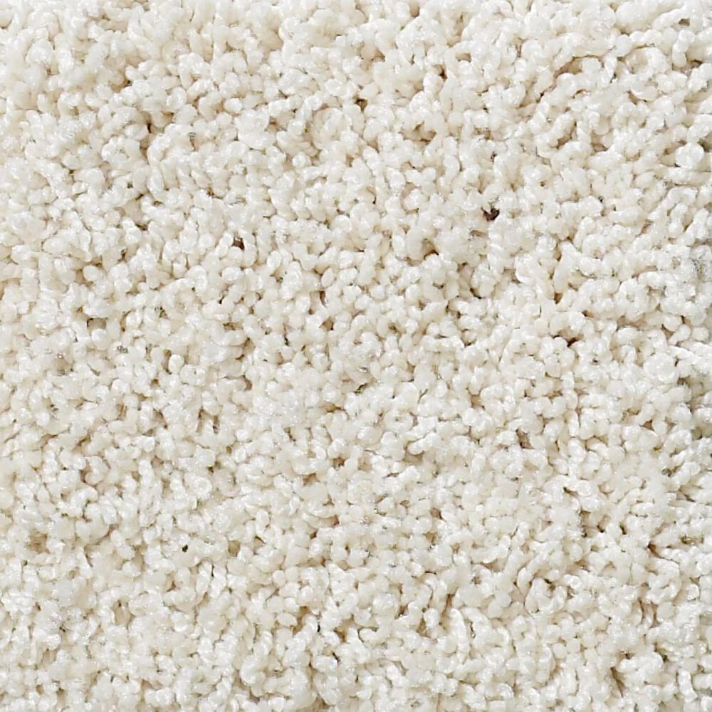 Shaw Foundations Take The Floor Twist I Carpet in Biscotti, , large