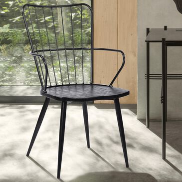 Blue River Parisa Side Chair in Black, , large