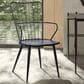 Blue River Parisa Side Chair in Black, , large
