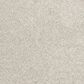 Mohawk Canine Chic Carpet Grey Whisp, , large