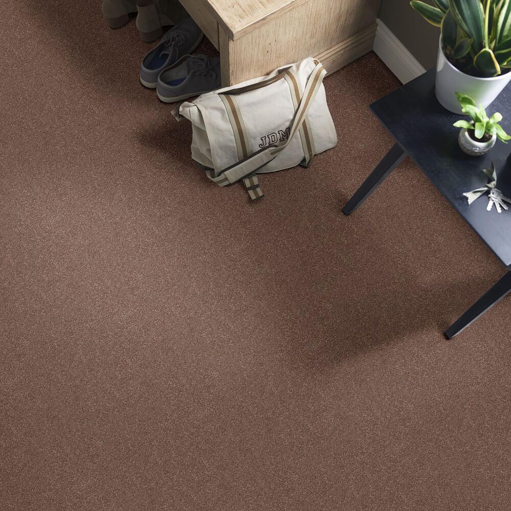 Shaw Simply the Best Momentum I Carpet in Farmhouse, , large