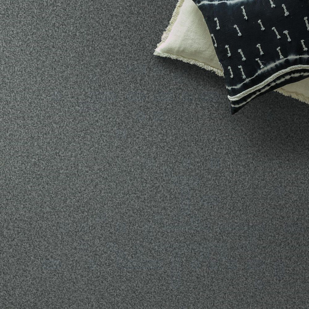 Anderson Tuftex Terra Nova Carpet in Norwegian, , large