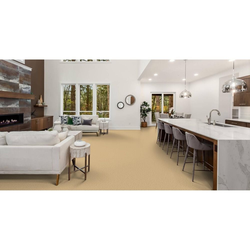 Masland Miami Carpet in Ambiance, , large