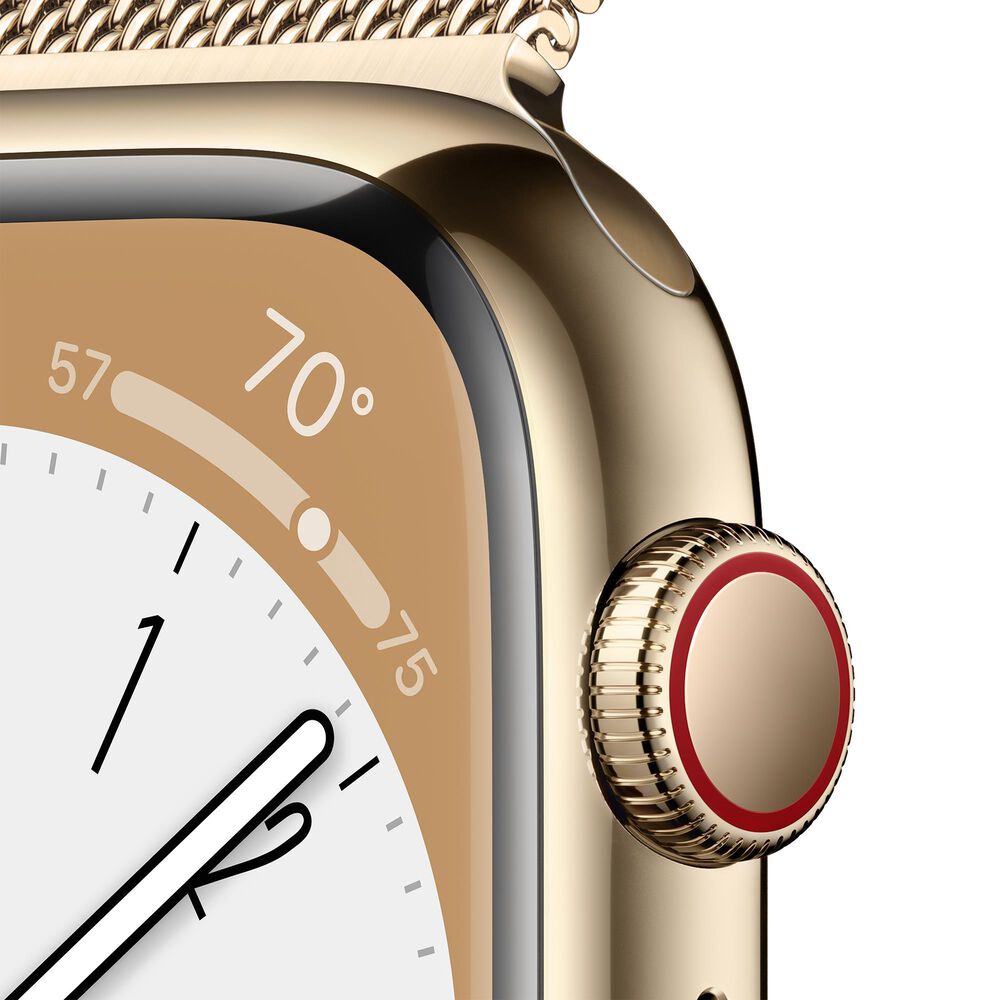 Apple Watch Series GPS Cellular 45mm Gold Stainless Steel Case with  Gold Milanese Loop NFM