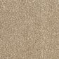 Revolution Mills Momentum II Carpet in Mocha, , large