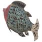 Maple and Jade Vintage Fish Sculpture in Blue, , large