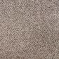 Mohawk Natural Selection I Carpet in Rocky Coast, , large