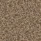 Anderson Tuftex Fabulous Carpet in Toffee, , large