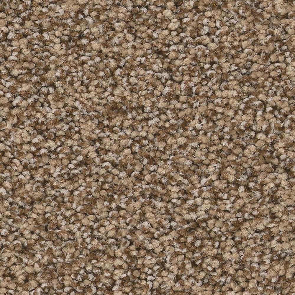 Anderson Tuftex Fabulous Carpet in Toffee, , large