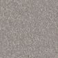 Shaw Awaken Spirit II 15" Carpet in Subtle Touch, , large