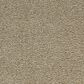 Mohawk Gentle Guardian lV Carpet in Golden Hour, , large