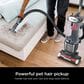 Shark Rotator Pet Upright Vacuum with PowerFins HairPro in Charcoal, , large