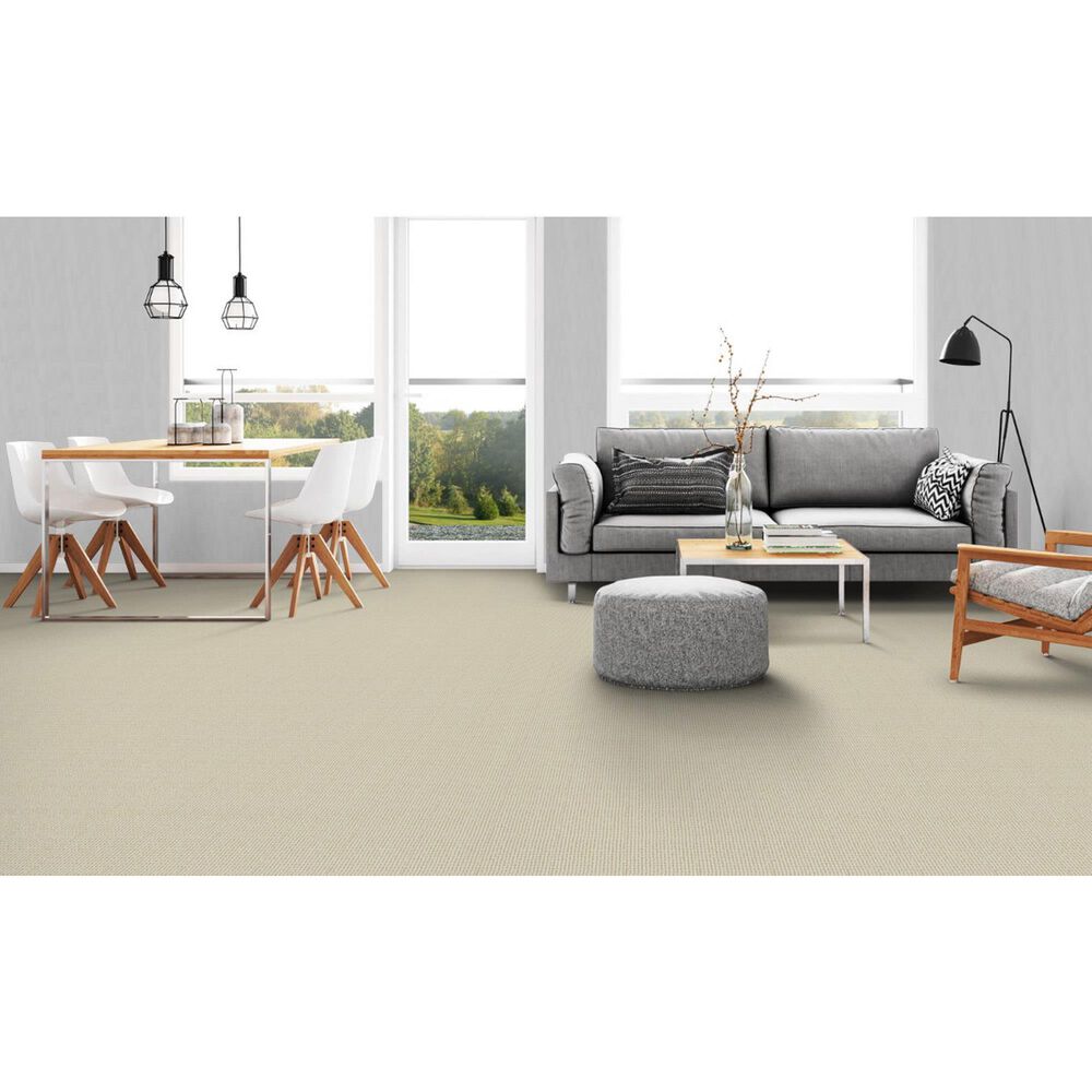 Dixie Home Oak Glen Carpet in Finch, , large