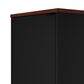 Dayton Mosholu 2 Shelf Nightstand in Black/Nut Brown, , large