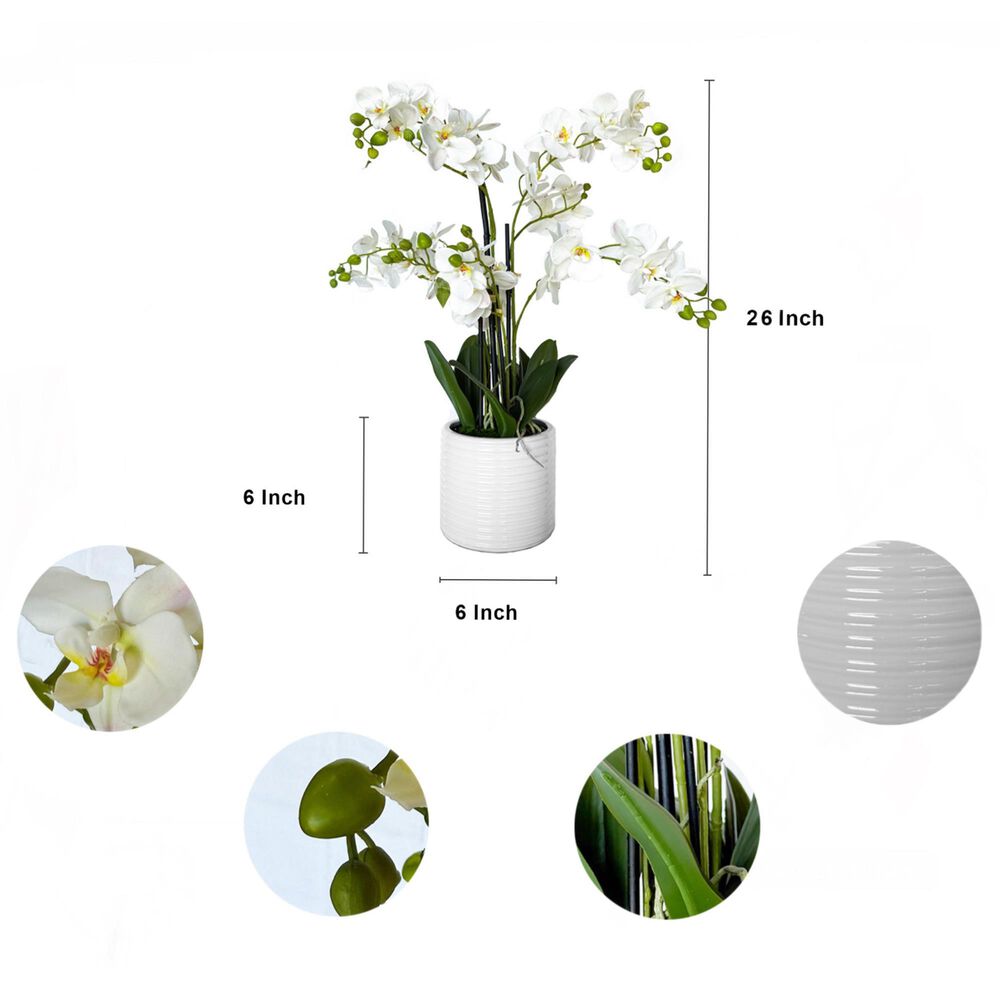 HOMLUX 26" Artificial Orchid Plant with 5 Stems Decorative and Ceramic Pot in White, , large