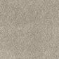 Dixie Home Perfect Summer Carpet in Destination, , large