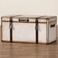 Baxton Studio Nevio Lift-Top Storage Trunk in Weathered White, , large