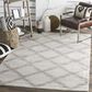 Safavieh Adirondack ADR122B 4" x 6" Ivory and Silver Area Rug, , large