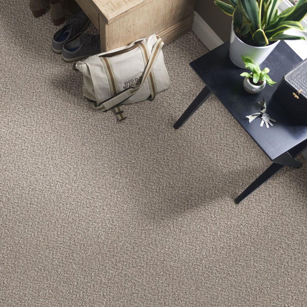 Philadelphia Mixed Essentials Carpet in Sandstone, , large