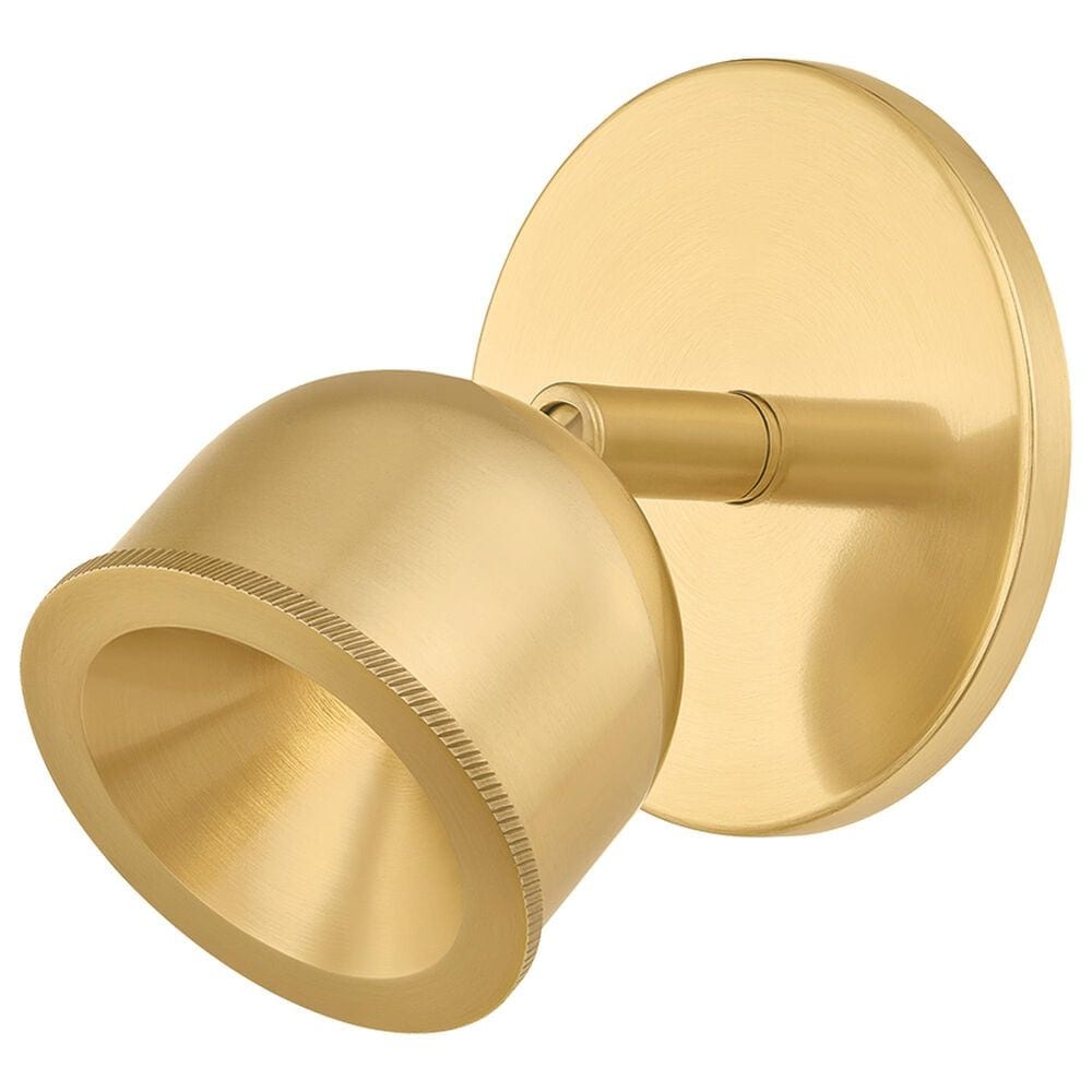 Hudson Valley Lighting Tuthill 1-Light Flush Mount in Aged Brass, , large