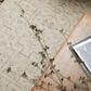 Oriental Weavers Acacia Beige and Brown 7"10" x 10"10" Area Rug, , large