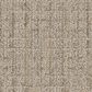 Dixie Home Engaging Carpet in Natural, , large