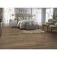 Mannington Adura Rigid Coventry Forest 7" x 48" Luxury Vinyl Plank, , large